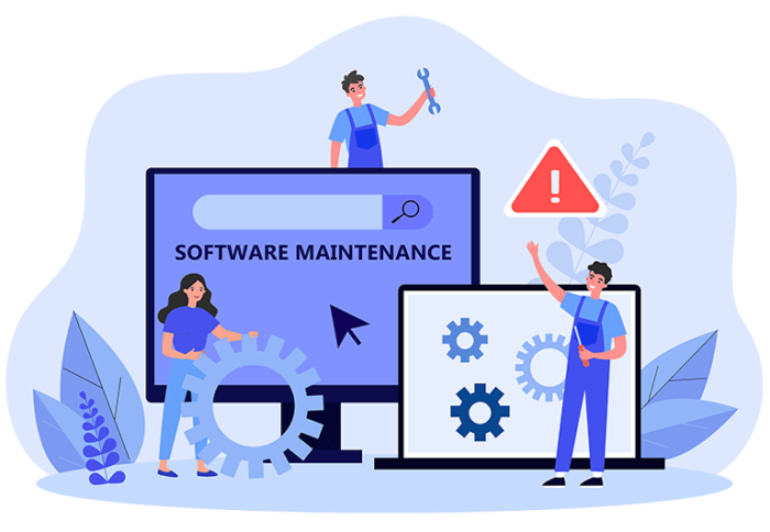 software maintenance costs
